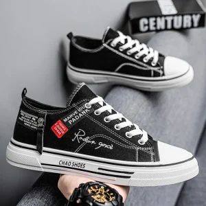 Men’s Casual Summer Sneakers Breathable Low Top Youth Canvas Shoes All Match Student Shoes with Fashion Trend Mesh Lining