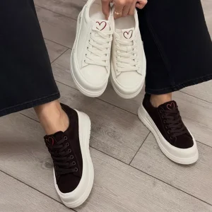 Retro Style Heart Embroidered Platform Walking Shoes Breathable Thick Sole Comfortable Shock Absorption Daily Street Wear
