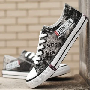 Spring and Autumn Canvas Shoes Casual Fashion Men’s Cloth Shoes Low top Board Shoes