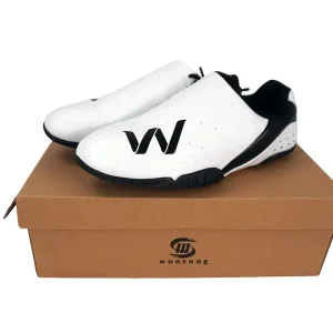 Taekwondo Shoes